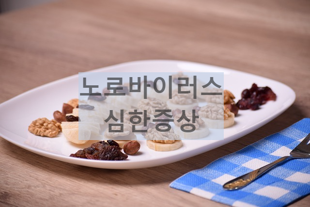 노로바이러스 심한증상 병원 고열 혈변 탈수 갈증 소변량감소 소아 노인