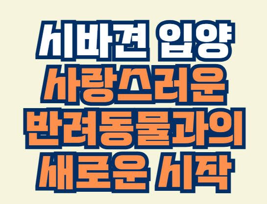 시바견_입양