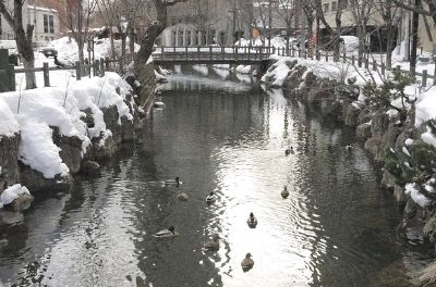 겨울 일본 삿포로 여행 준비