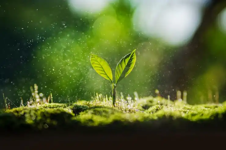 환경개선부담금 연체조회