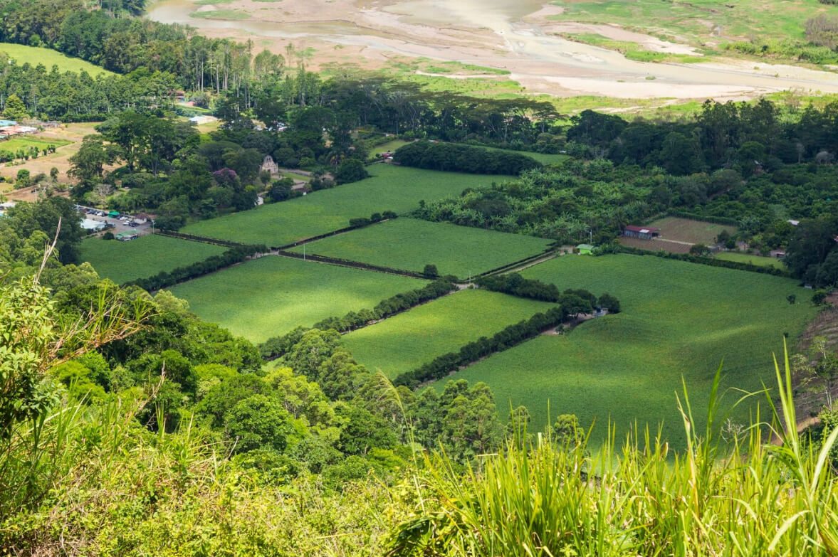 개발제한구역 지원