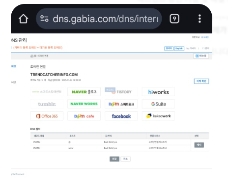 가비아 DNS 설정에서 A레코드와 CNAME 레코드를 입력하는 예시 화면