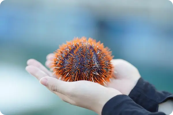 거제 이수도