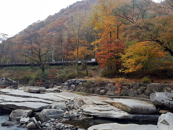 선암골1