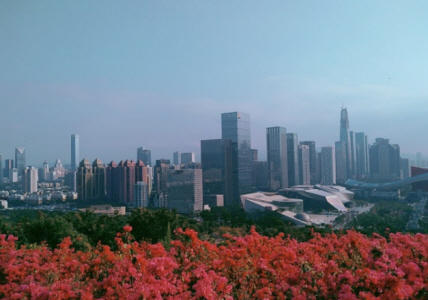 연화 공원 정상에서 찍은 풍경