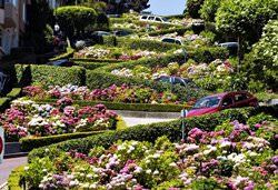 롬바드 스트리트, 미국