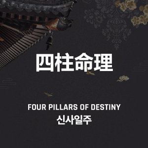 신사일주(辛巳日柱)