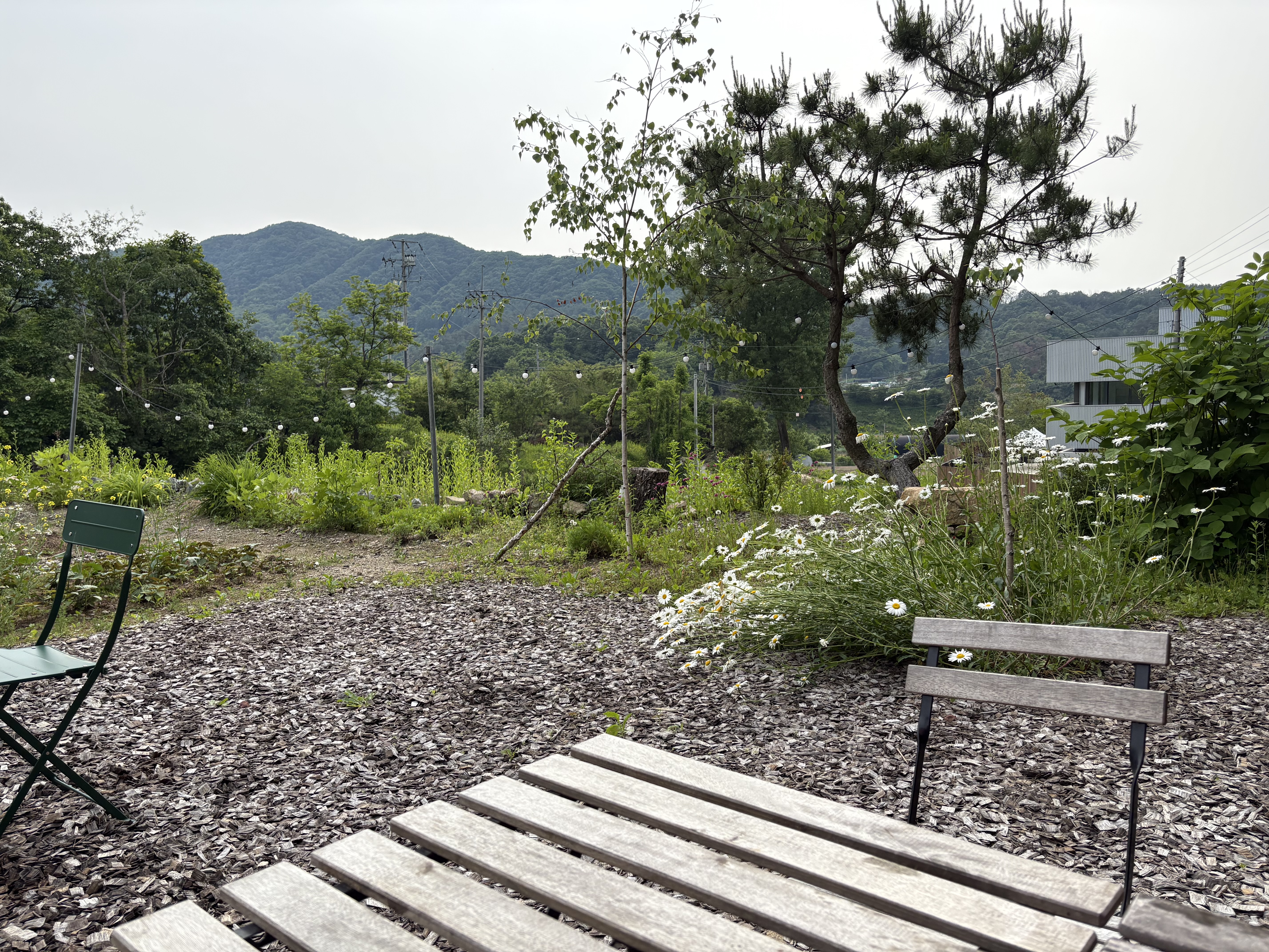 지평오차드 셀프 바베큐장