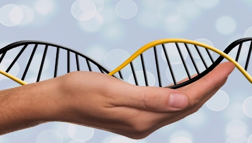 친자확인 유전자검사 비용 / 기관 / 기간 / 검체 / 신청방법 / 서류