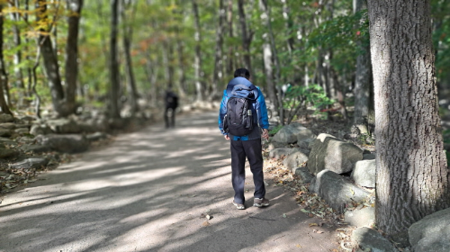 설악산_단풍여행_총정리