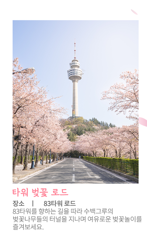 이월드 벚꽃 포토존