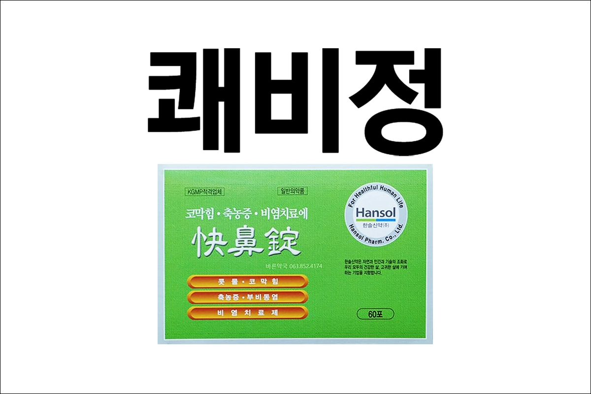 쾌비정 가격 효능 효과 부작용 비염약 축농증약 코막힘약