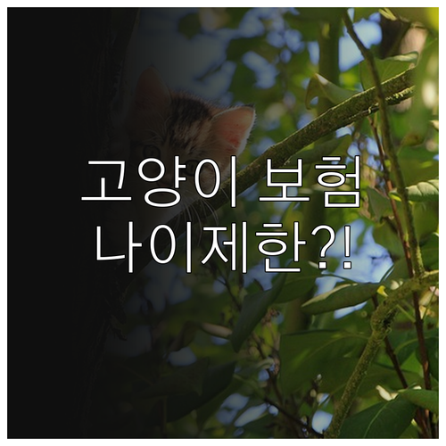 고양이 보험 가입 가능 나이와 기존 ..