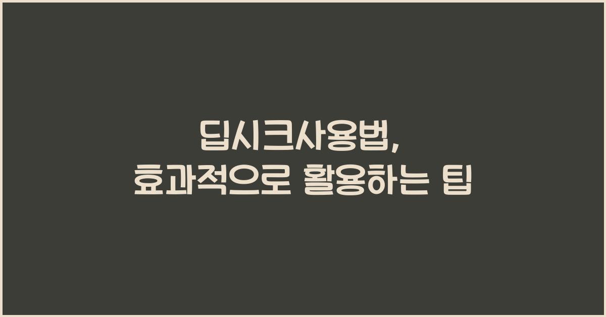 딥시크사용법