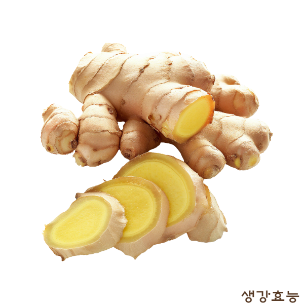 생강 효능 : 생강의 건강 효능과 생강 부작용 알아보고 드세요.