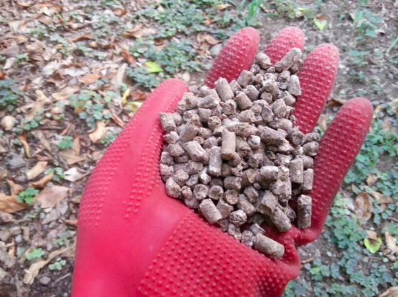 반려동물 건강 위협하는 유박비료 관련 사진