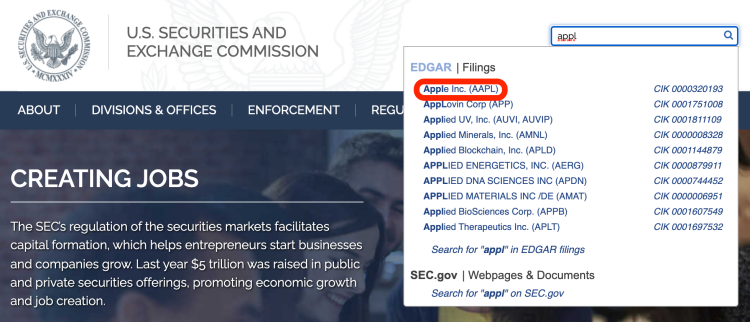 미국 증권거래위원회에서 애플 검색