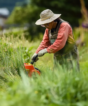 2025년 설날 벌초 업체 서비스