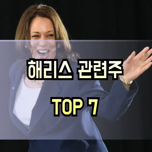 해리스-관련주