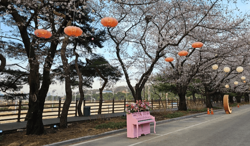 벚꽃 축제 일정