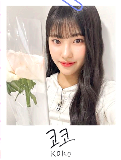 코코