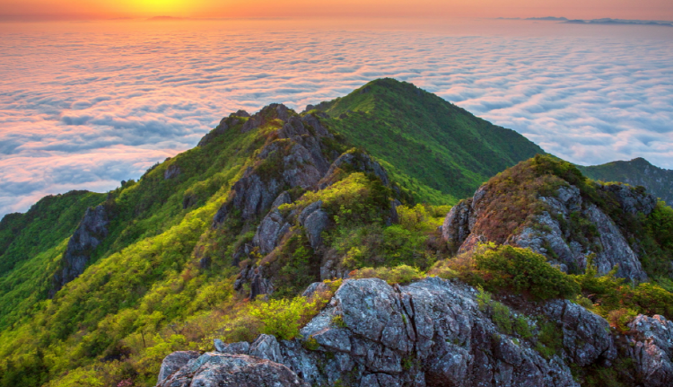 가야산 등산코스