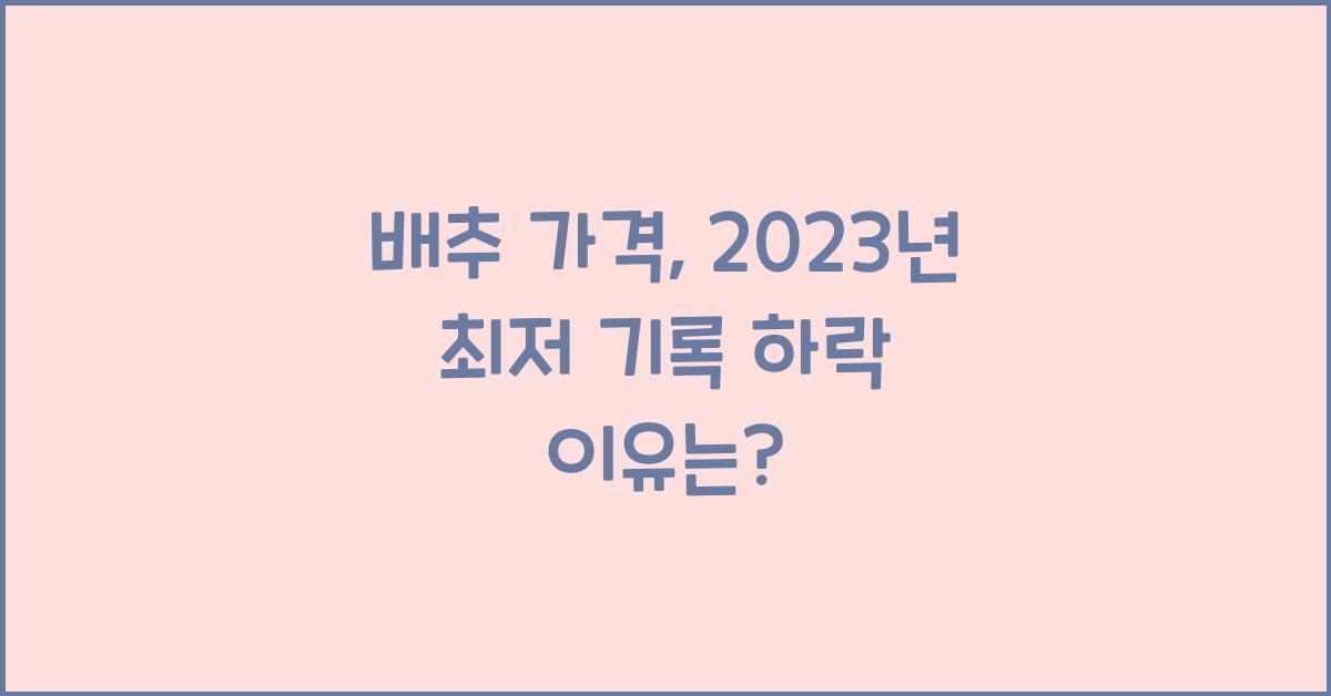 배추 가격