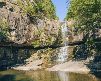 청남대 홈페이지 예약 접수_28