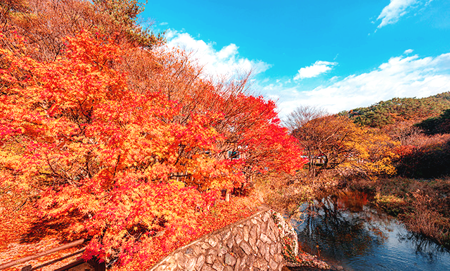 부안 변산반도국립공원 단풍1