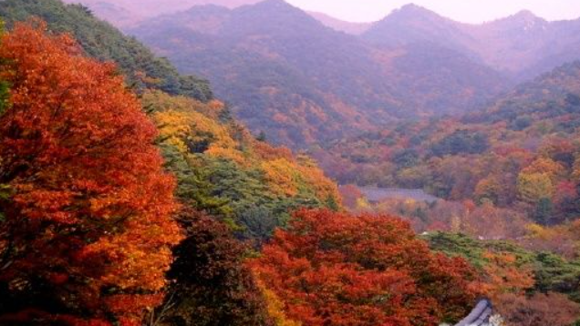 2025 한라산 단풍 절정시기 공개! 가을 초보자 코스 완벽 정리