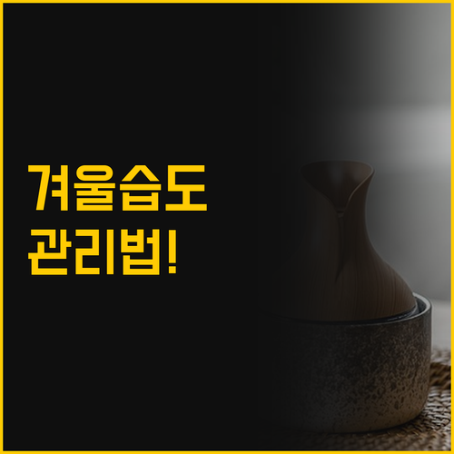 무소음 가습기 추천 겨울철 실내 습도..