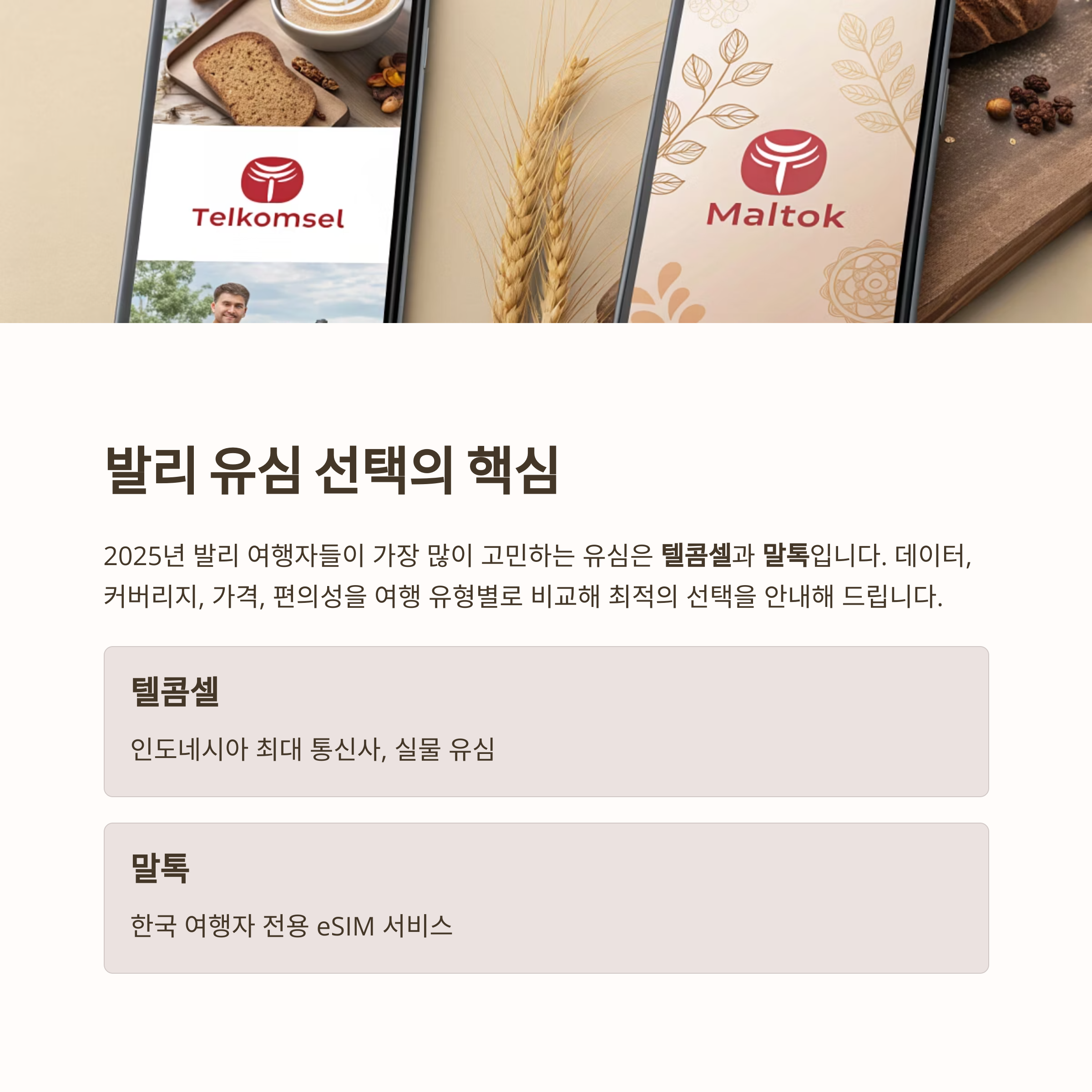 발리 유심 추천: 도심 vs 외곽 여행 맞춤