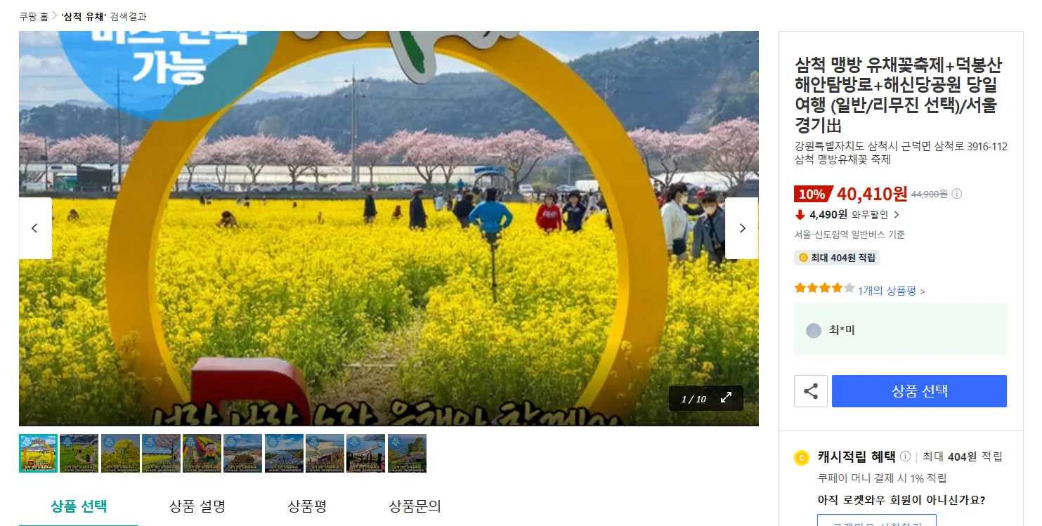 강원도 삼척 맹방 유채꽃 파랑새투어 버스 투어