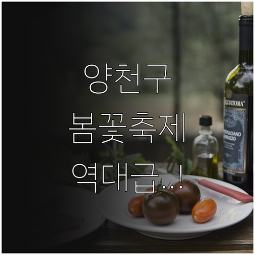 서울 도심 속 봄맞이 명소 양천구 가..