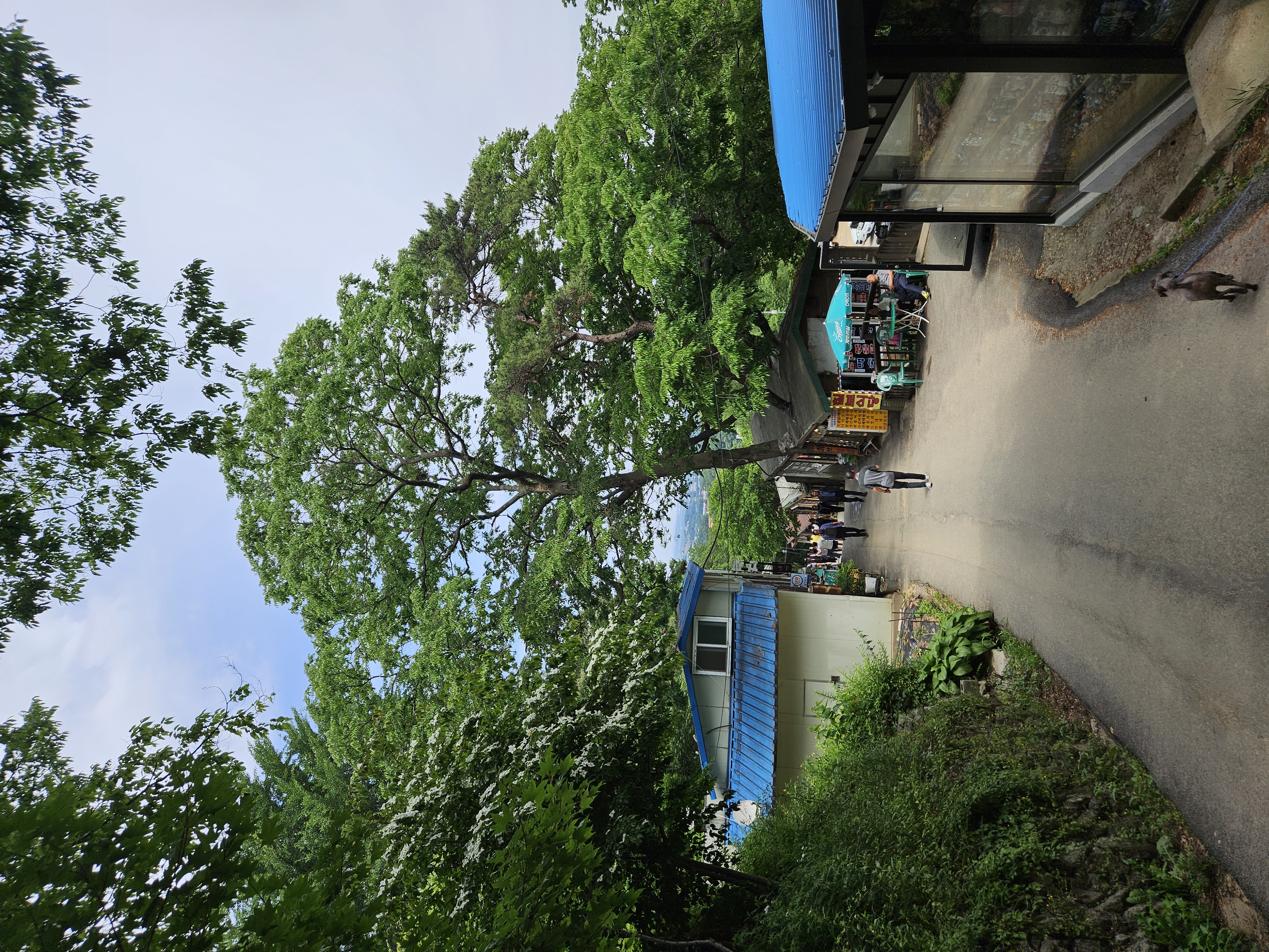 강화도 전등사 애견동반 반려동물동반 식당