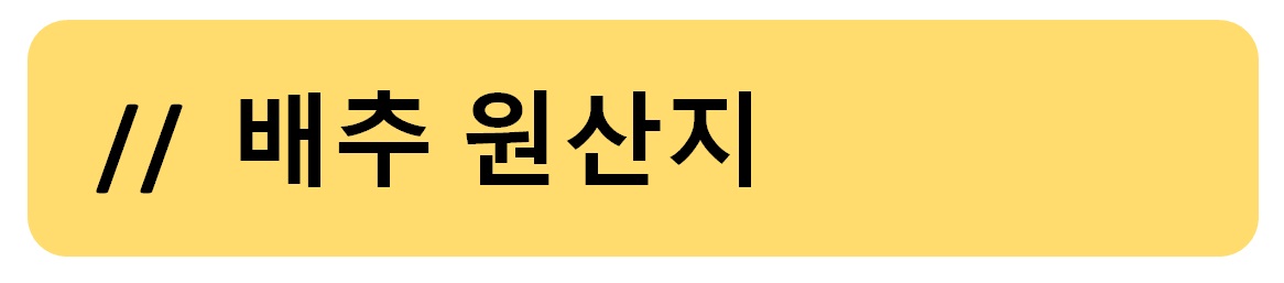 배추 원산지