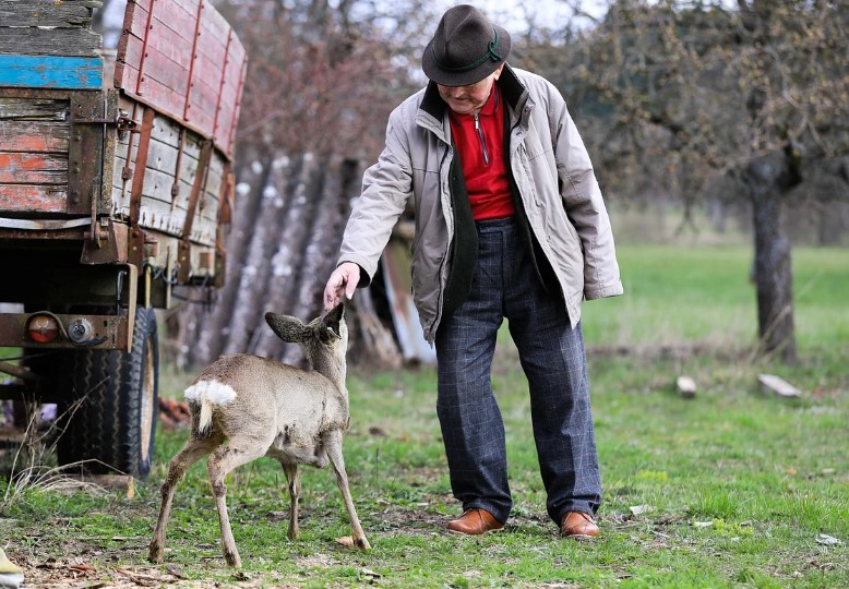 건강한 노후 비결