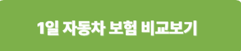 1일 자동차 보험