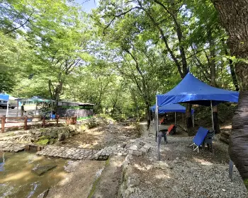 서울대공원 캠핑장 예약_28