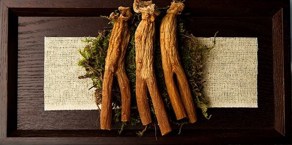 홍삼 액기스 건강보조식품 효능