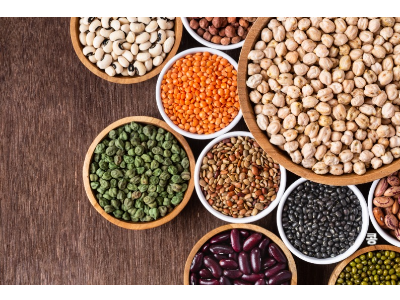 다양한 콩 사진