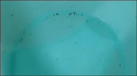 먼지가 모여있는 그릇