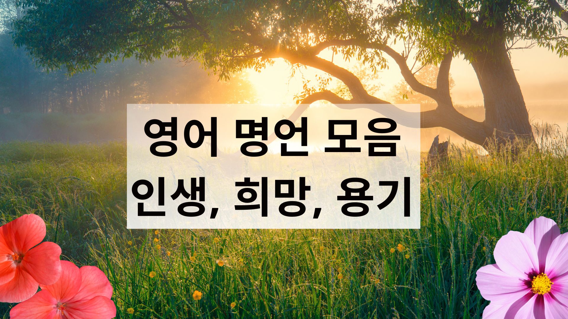 영어-명언-모음