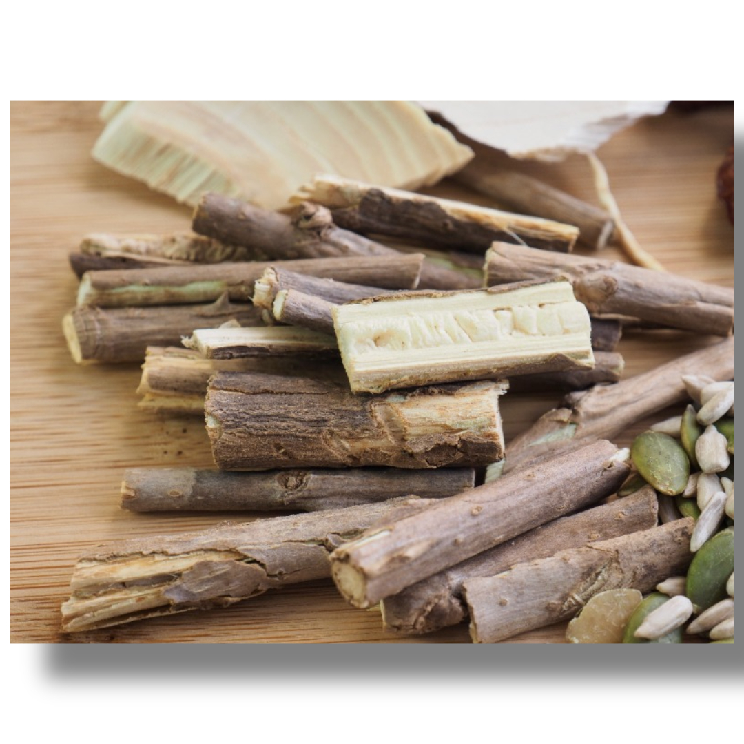 차가버섯과 관련된 사진입니다.