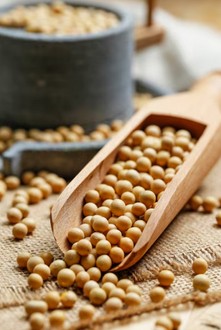 과다 섭취 부작용