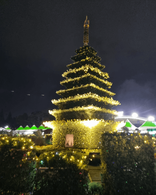익산 천만송이 국화축제 2025 | 가을에 꼭 가야 할 꽃축제
