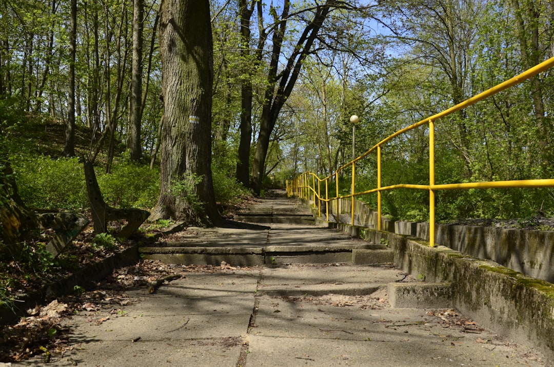 Channel