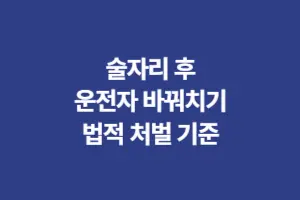술자리 후 운전자 바꿔치기 형량 및 처벌기준