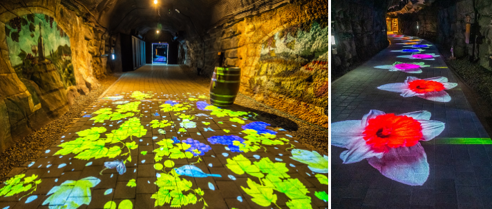 동굴 내부 사진