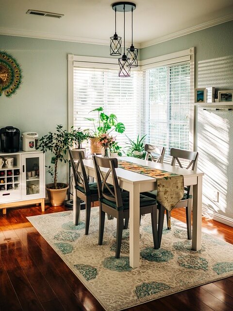 반려식물과 함께하는 티타임 실험 비교분석 – 공간·심리적 효과 연구 기반 관찰기록